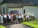 bild (25)